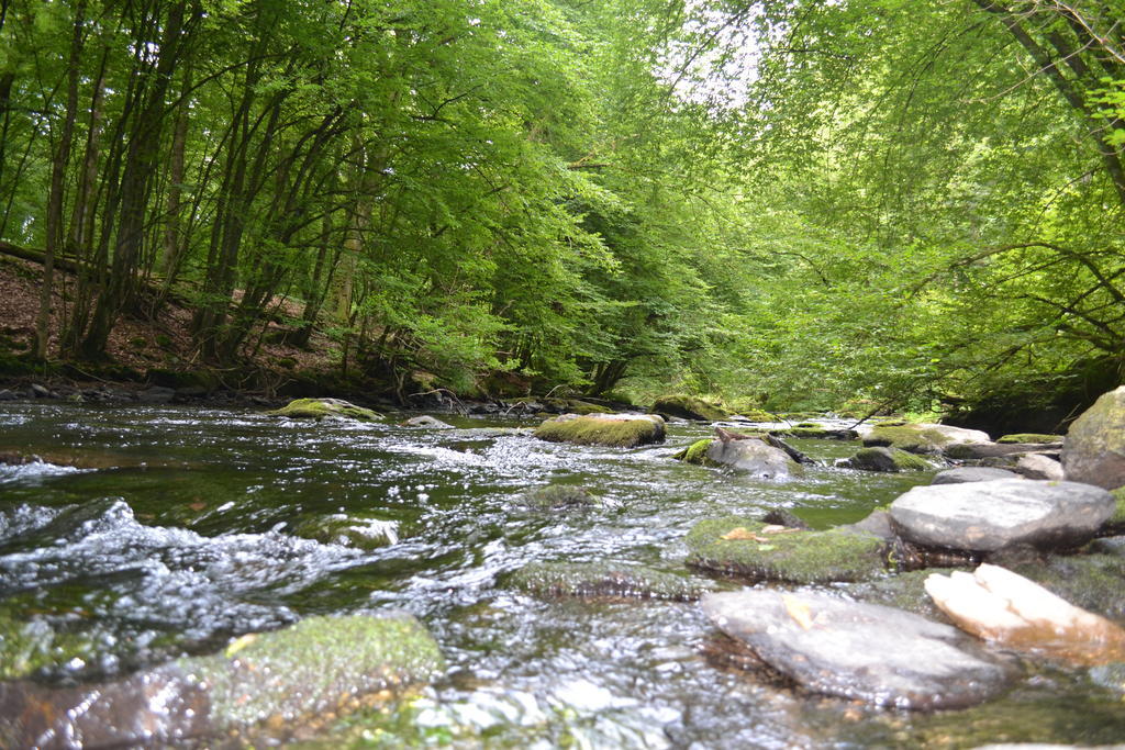Gite La Clef Des Champs Libin Kültér fotó