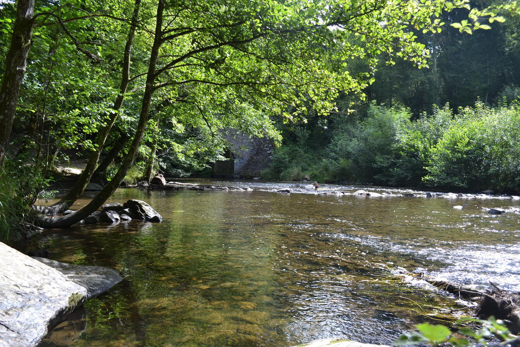 Gite La Clef Des Champs Libin Kültér fotó