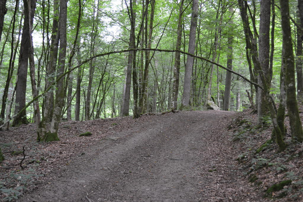 Gite La Clef Des Champs Libin Kültér fotó
